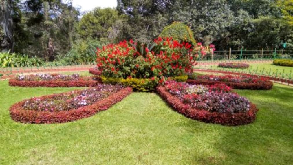 Ooty Botanical Garden Landscape Image